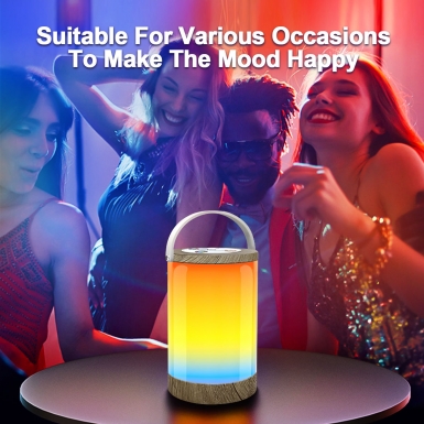 LED室内灯 - HCP030 手提氛围灯